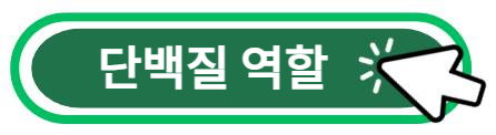 단백질 역할 알아보기