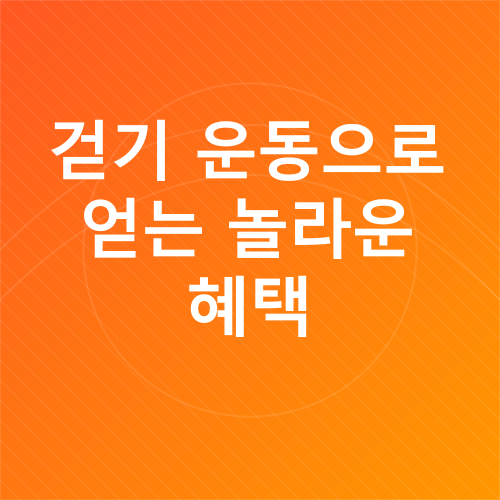 중년 걷기 운동_3
