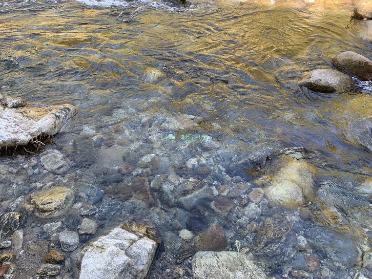 또올래캠핑장-계곡