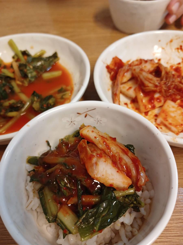 서민준 밀밭 보리비빔밥