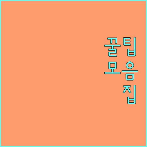 2024 최신 리프팅 시술 가격 비교