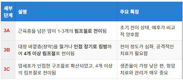 대장암 3기의 정의