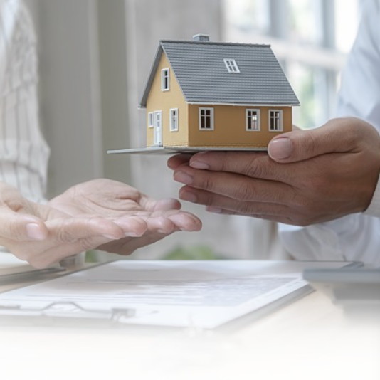 부동산정책관련그림