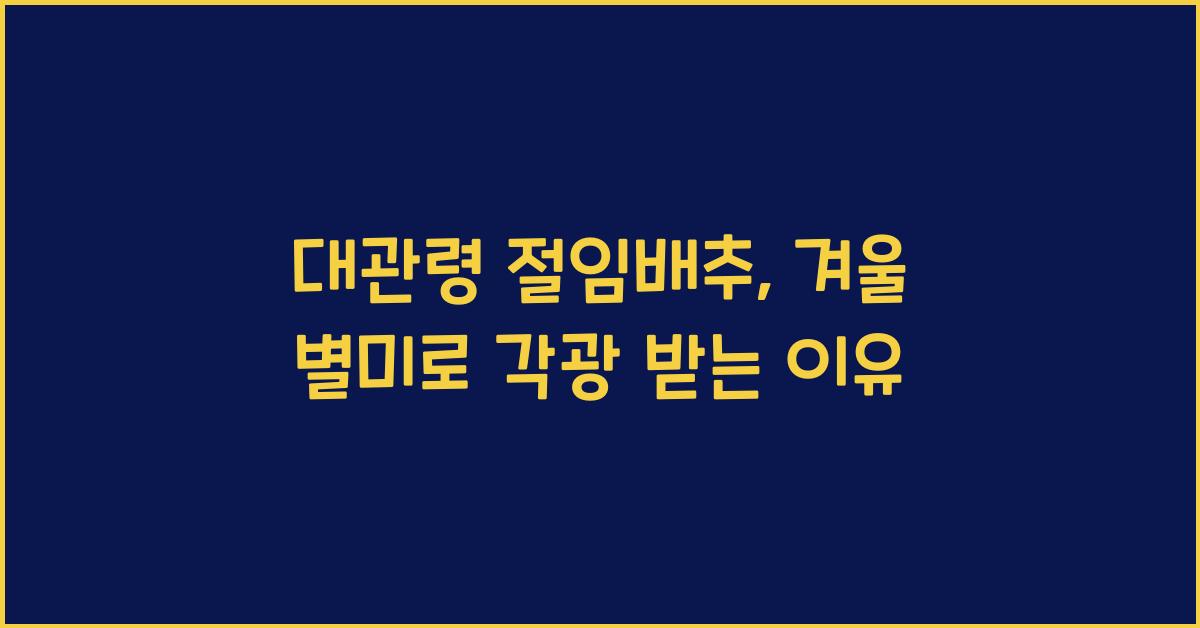 대관령 절임배추