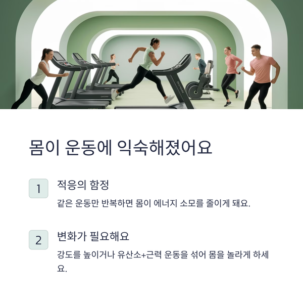 몸이 운동에 익숙해졌다