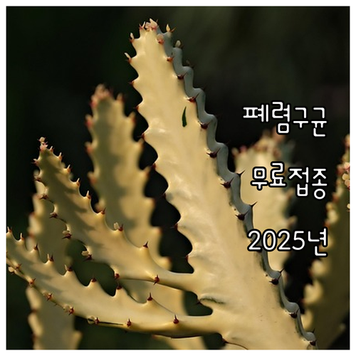 2025년 어르신 건강 지킴이: 폐렴..