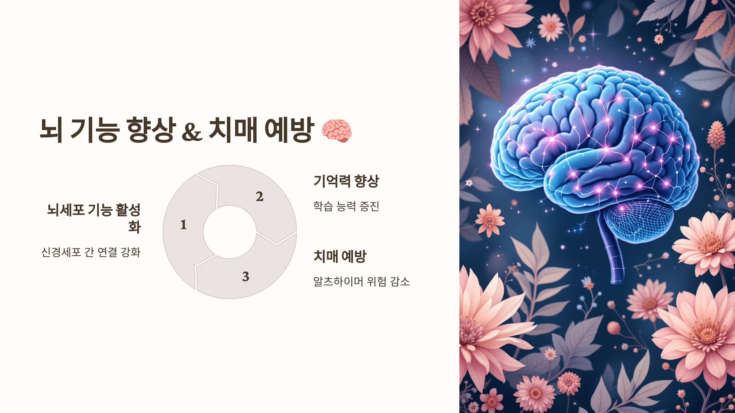 오메가3와 관련된 사진입니다.