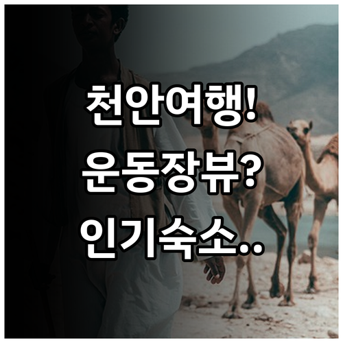 천안 여행 코스 추천 천안종합운동장 ..