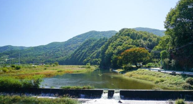 청송 용전천