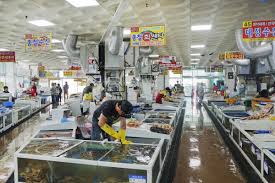 영덕 가볼만한곳 베스트10 - 동광어시장