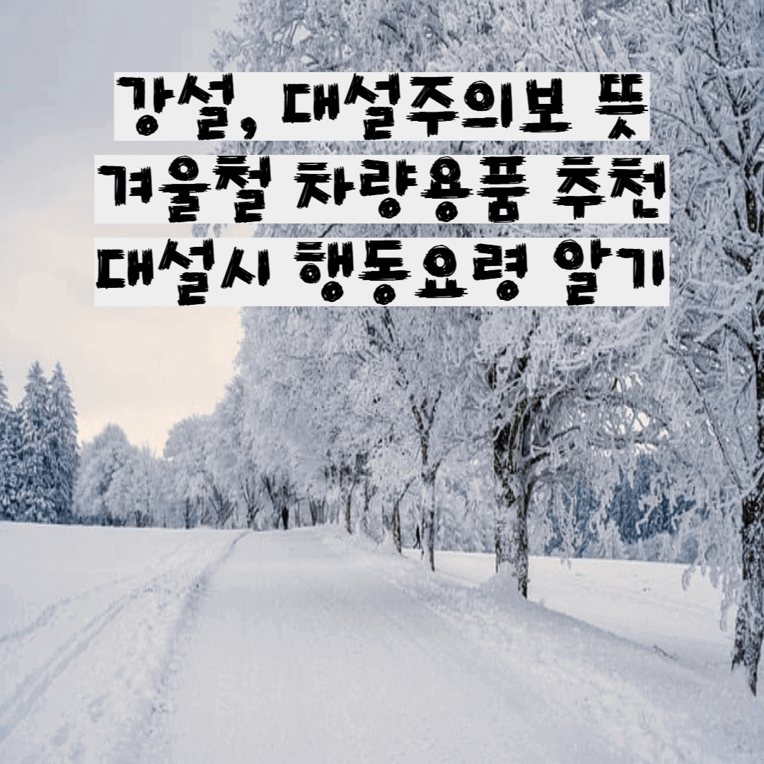 대설시-행동요령
