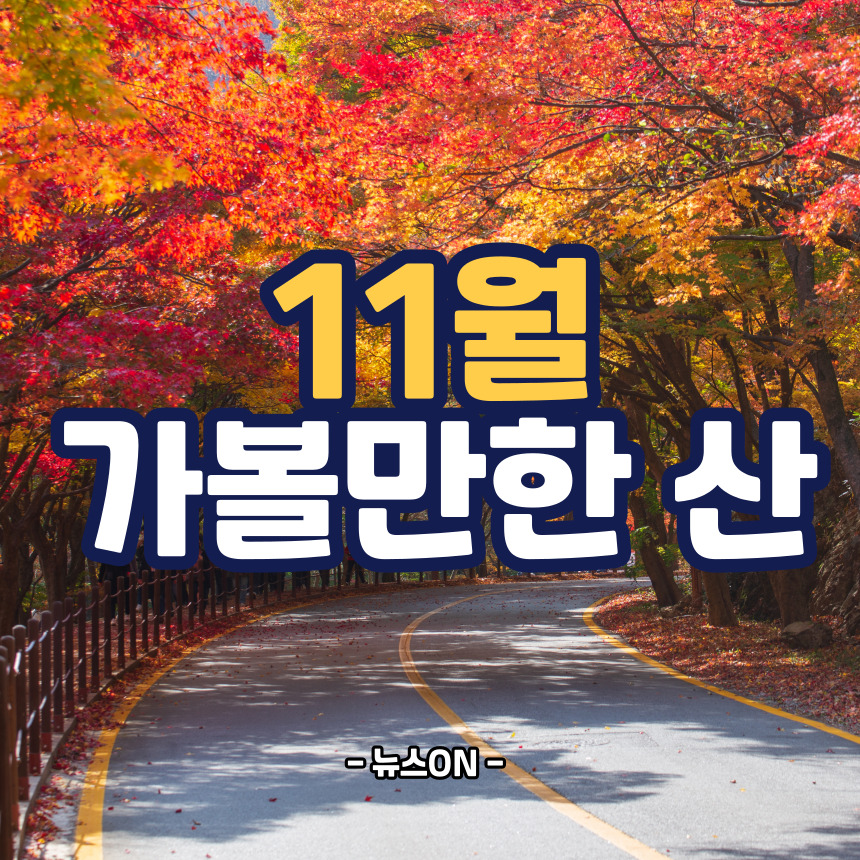 11월 가볼만한 산