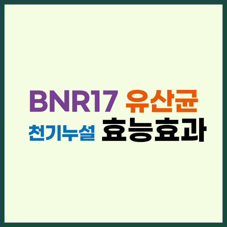 BNR17-유산균-효능-효과-당커터-천기누설