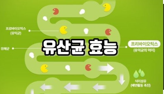 장 건강을 위한 식습관 관련 이미지