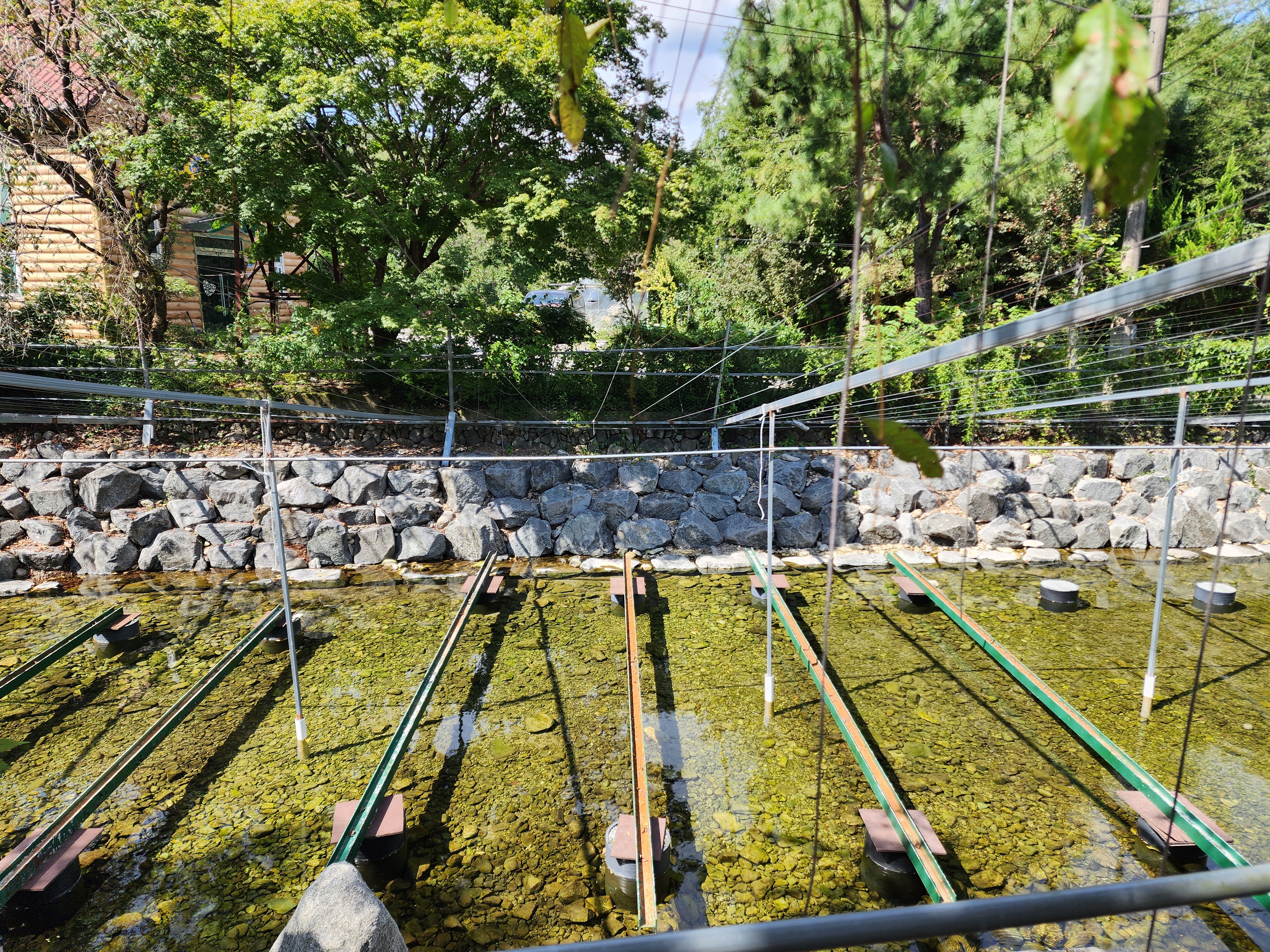 월산 송어횟집 계곡