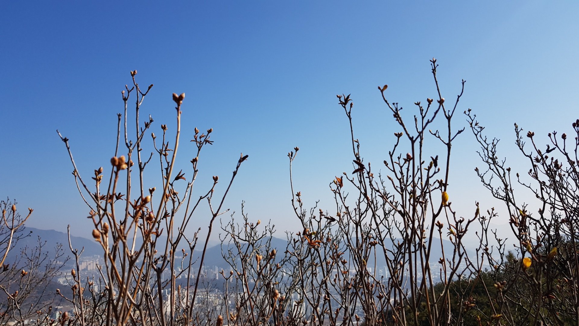 창원 무학산