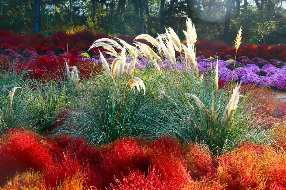 10월 지역 축제 충남 충북 가을 축제 정보