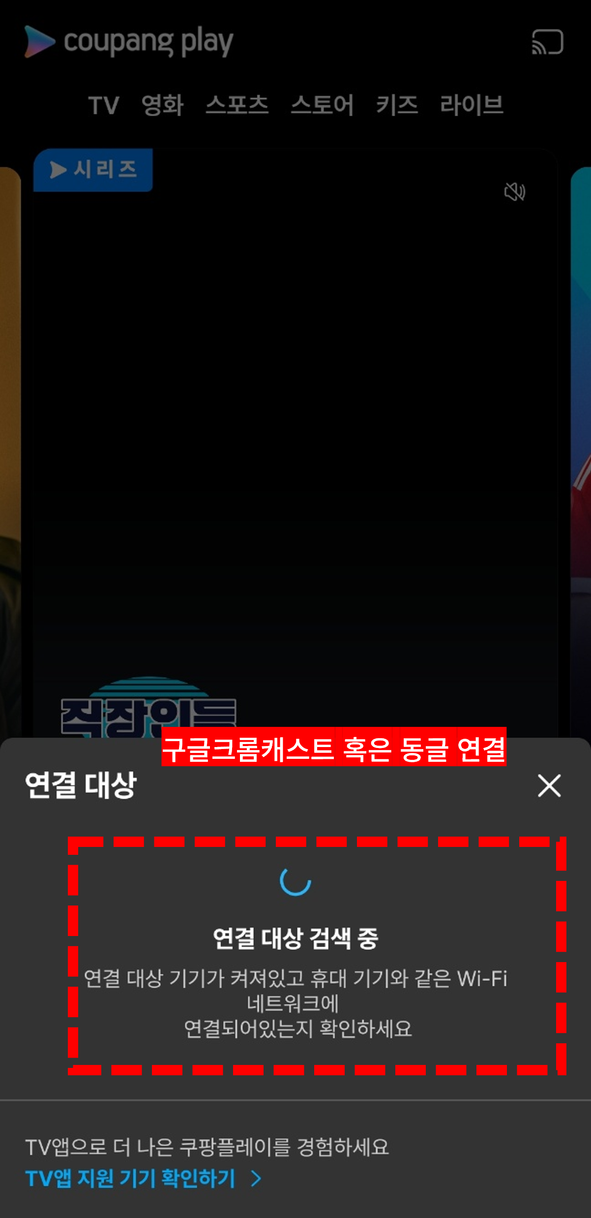 쿠팡플레이 TV연결
