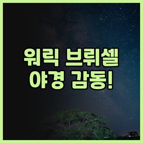 워릭 브뤼셀, 그랑플라스 야경을 내 ..