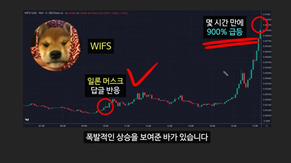 급등할 솔라나 밈코인 캣인어독스월드(MEW), 도지코인, 플로키, 벤도그, 마더, 그레이머, 워젝, 네버, 두코, 봉크