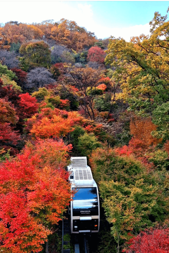 화담숲-모노레일