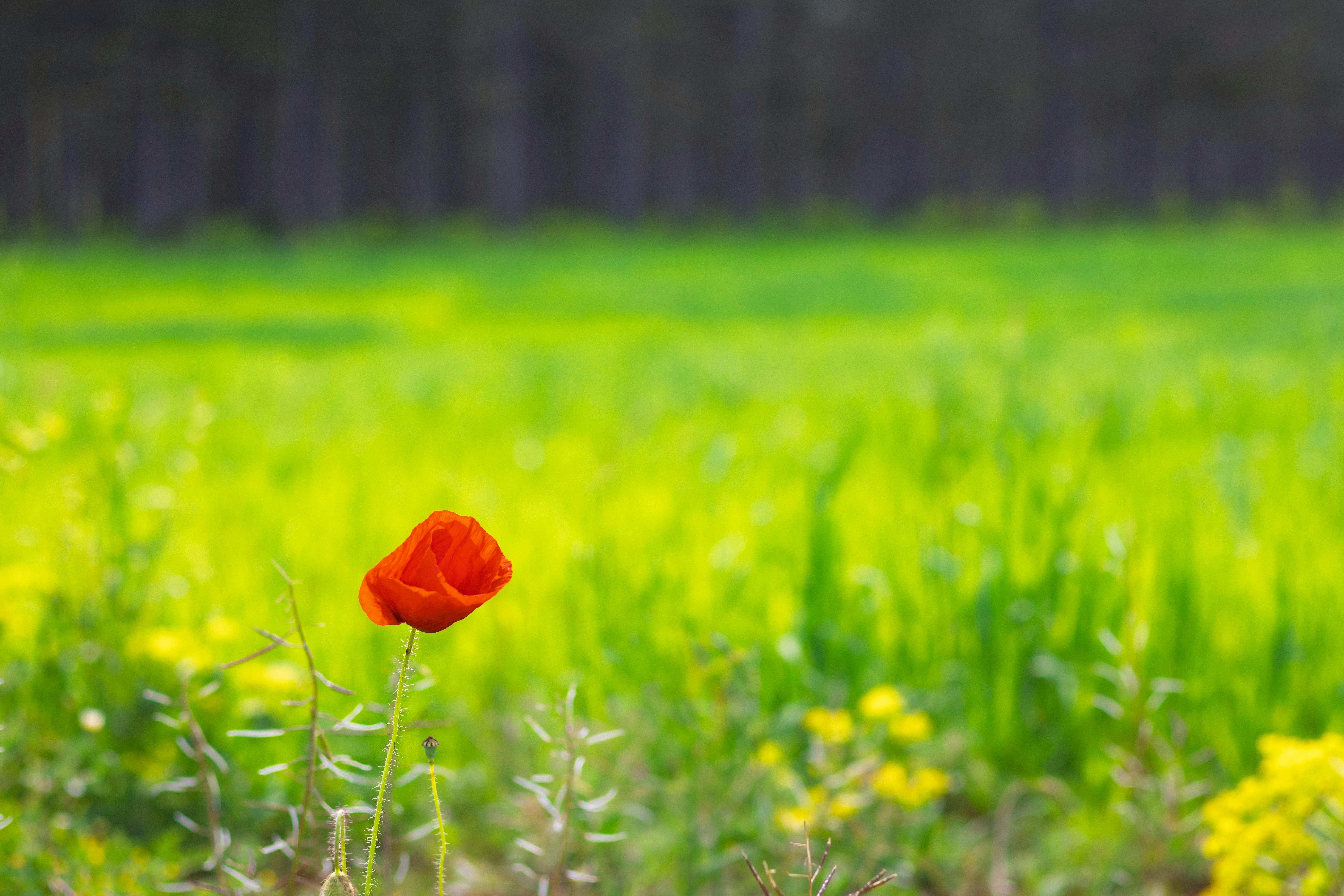 여름 여행지 사진