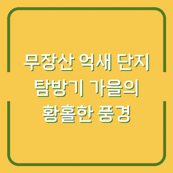 무장산 억새 단지 탐방기 가을의 황홀한 풍경
