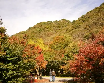 내장산 단풍_23