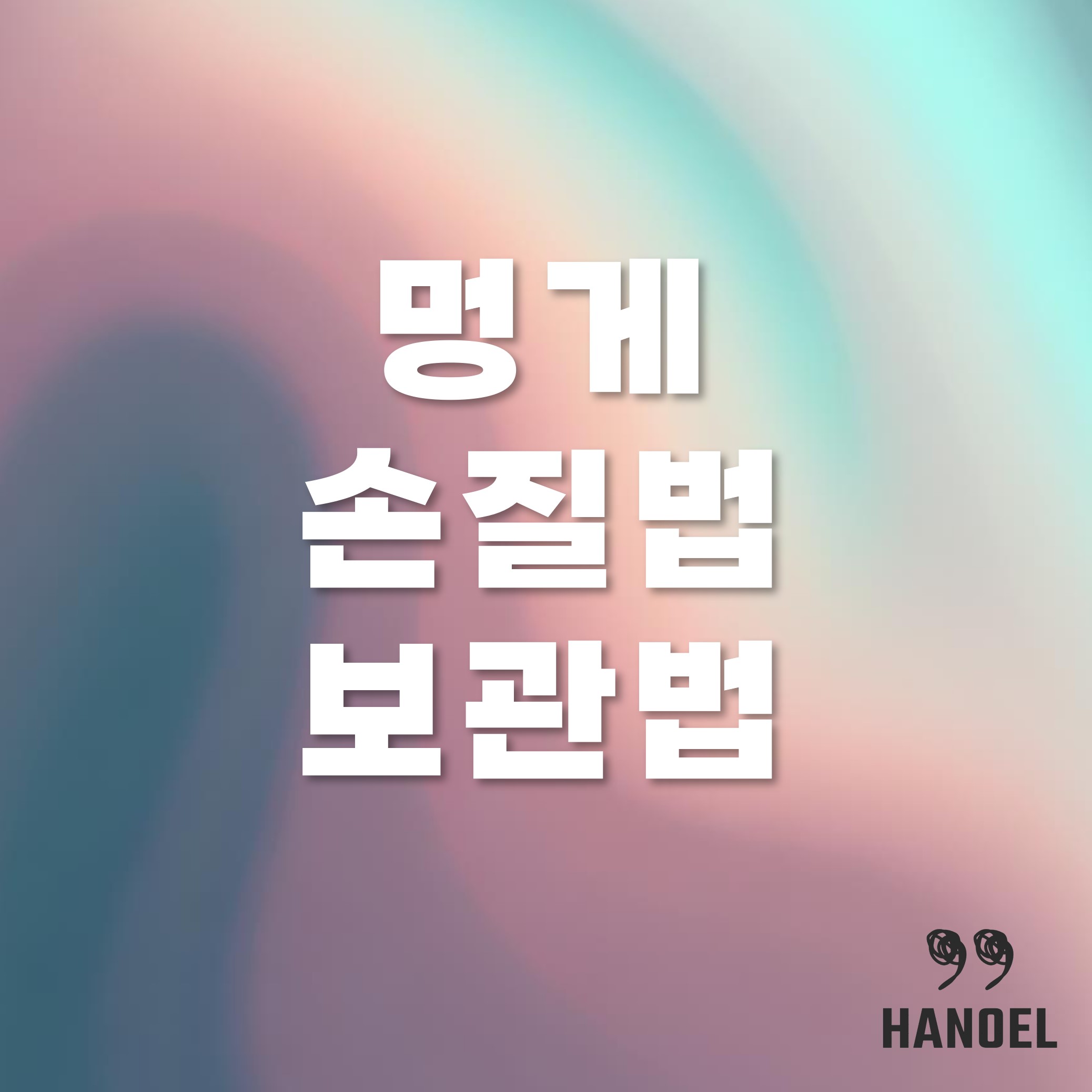 멍게 손질법 보관법