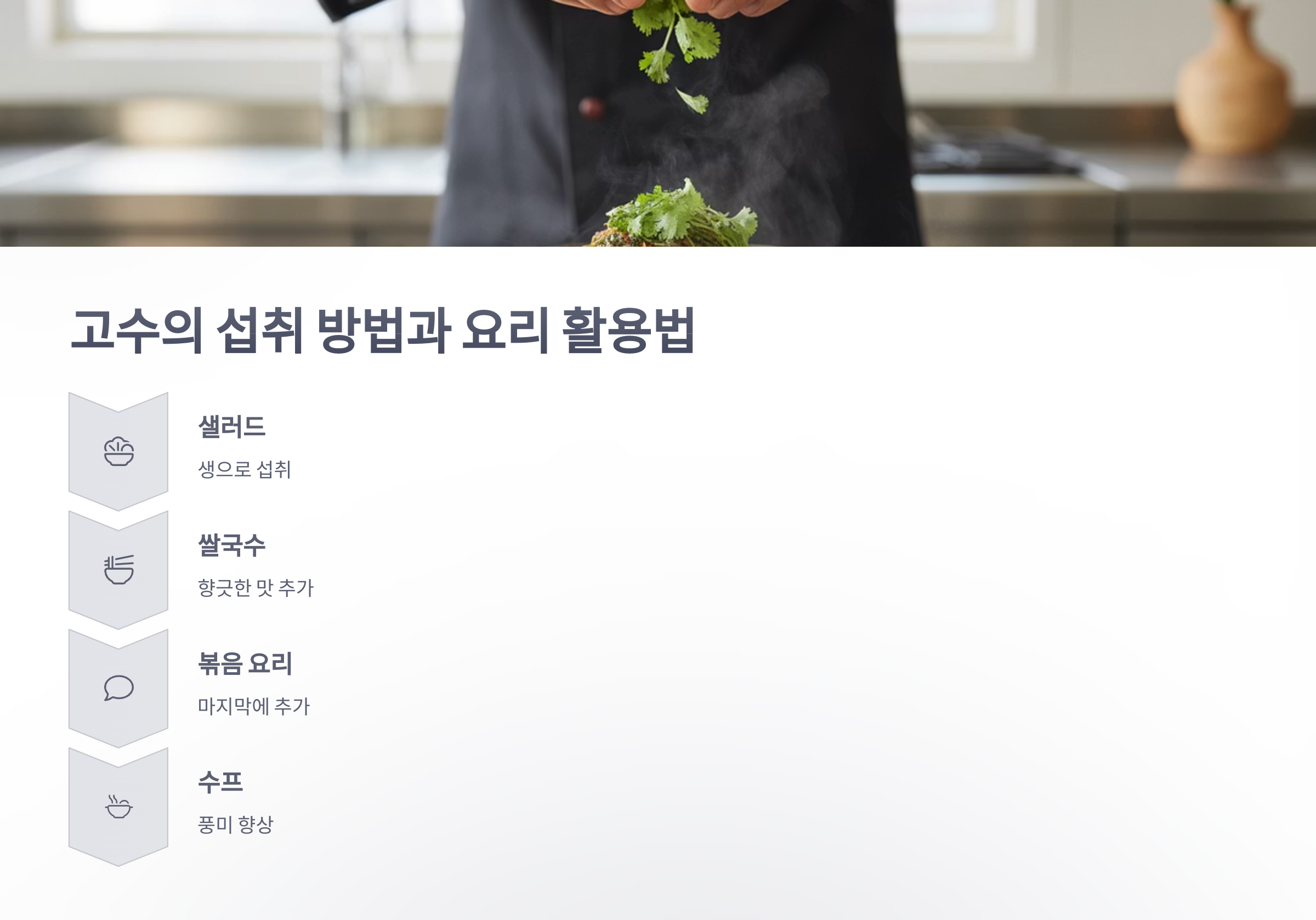 참조-건강음식-'고수'-3