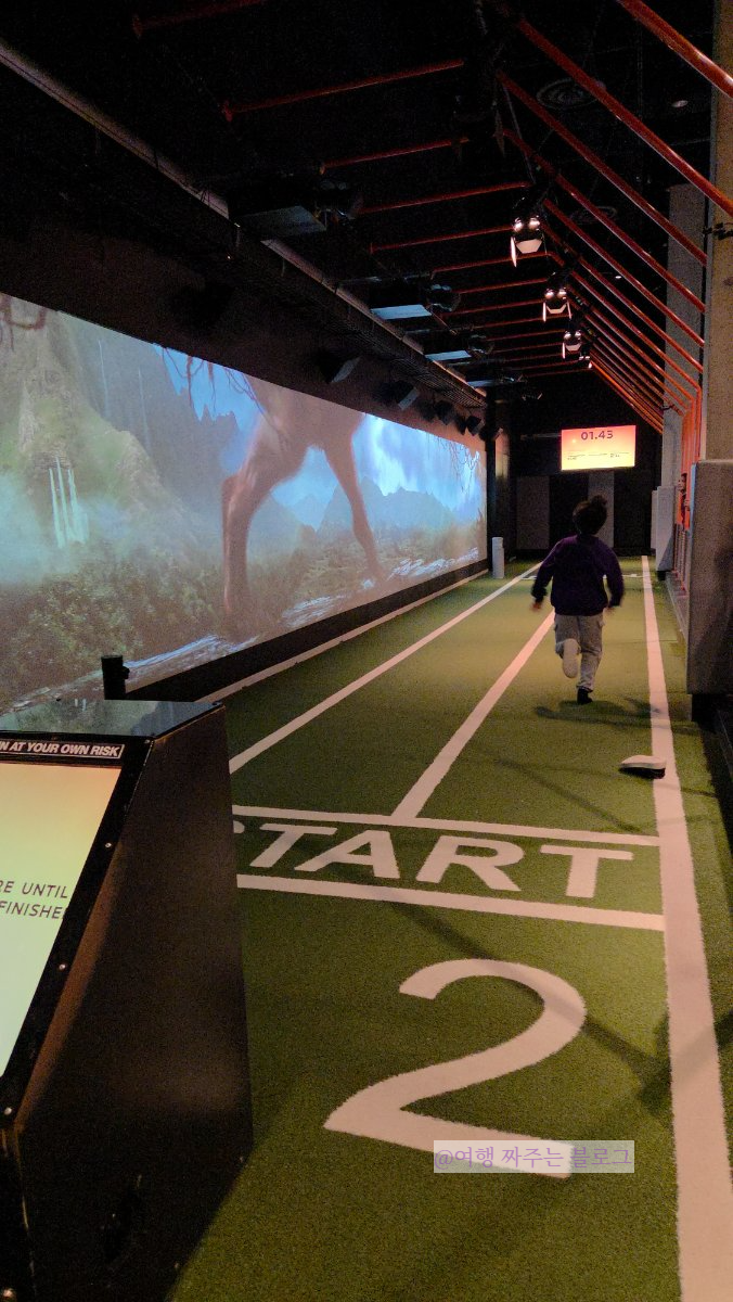 #달라스여행 #댈러스여행 #페롯뮤지엄 #페롯박물관