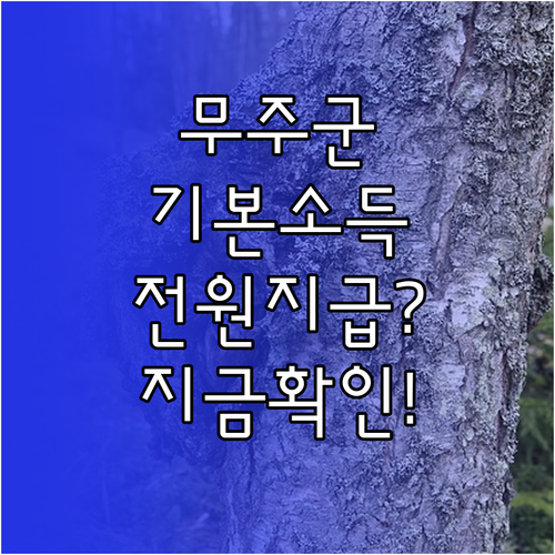 무주사랑상품권으로 받는 무주군 기본소..