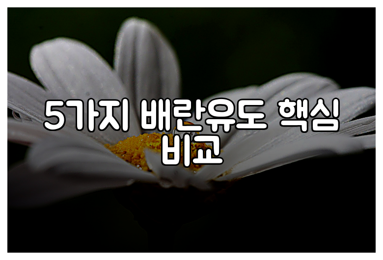 5가지 배란유도 핵심 비교