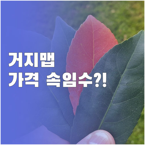 거지맵 가격 불일치 미리 확인하는 간..