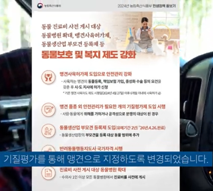 동물보호 및 복지제도 강화에 대한 포스터