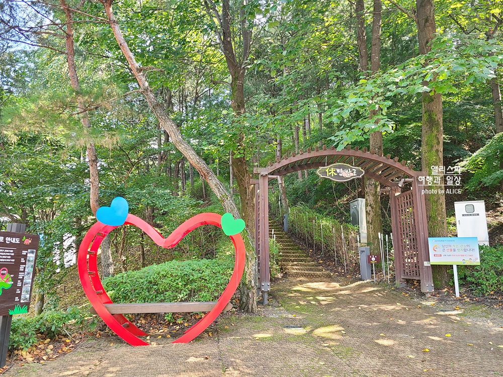 가을축제 국내 온천 여행 2022 수안보 온천제 1일차 방문 후기