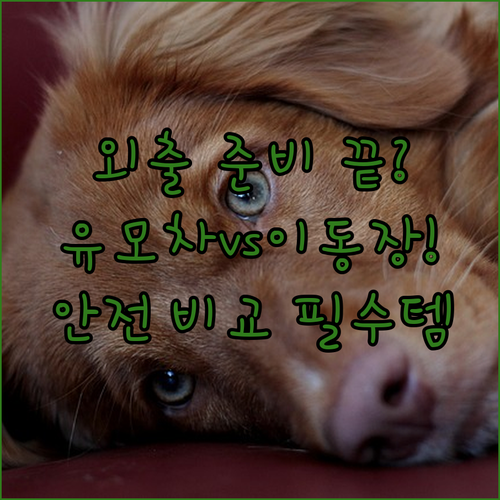 우리 강아지 고양이 안전한 외출을 위..