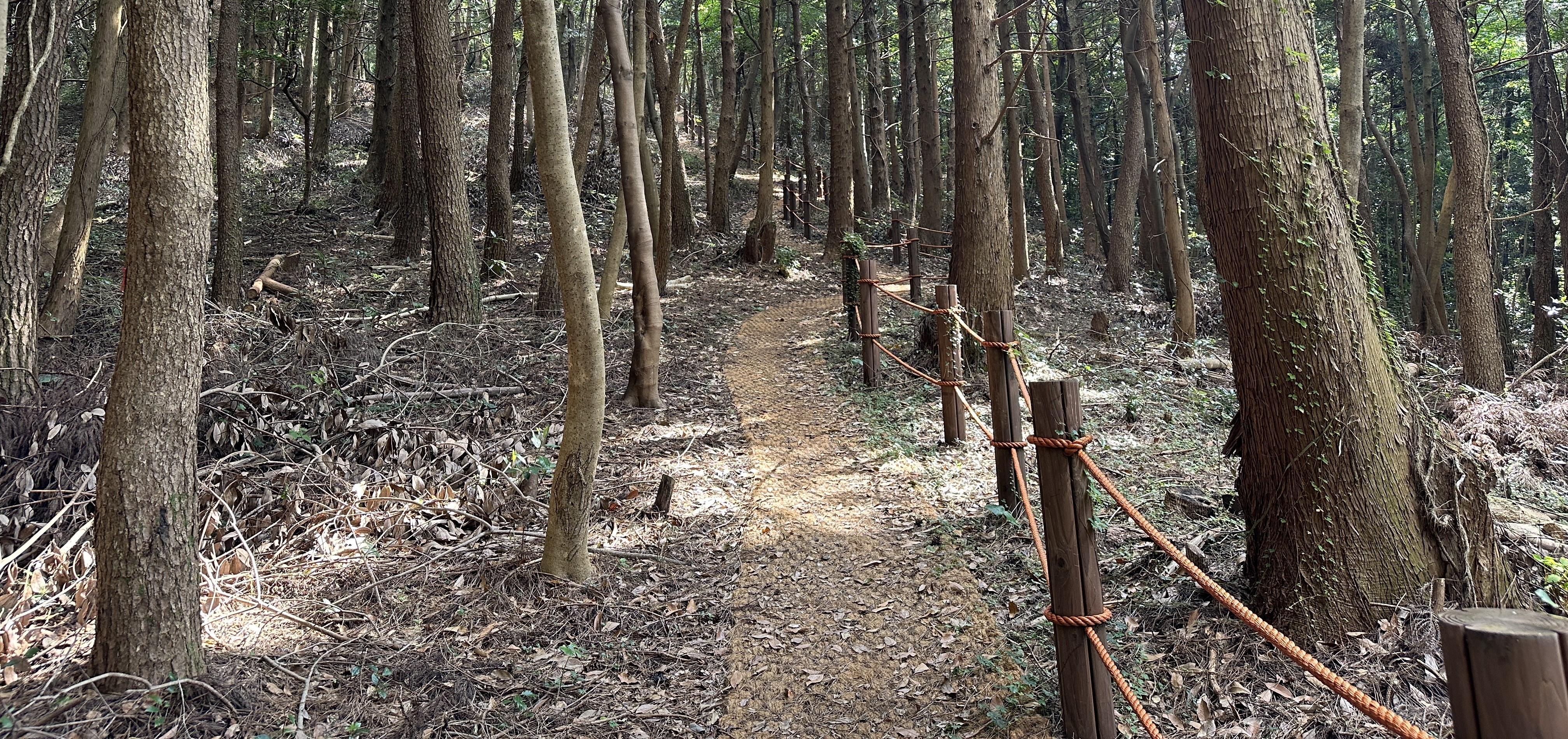 당오름 산책로