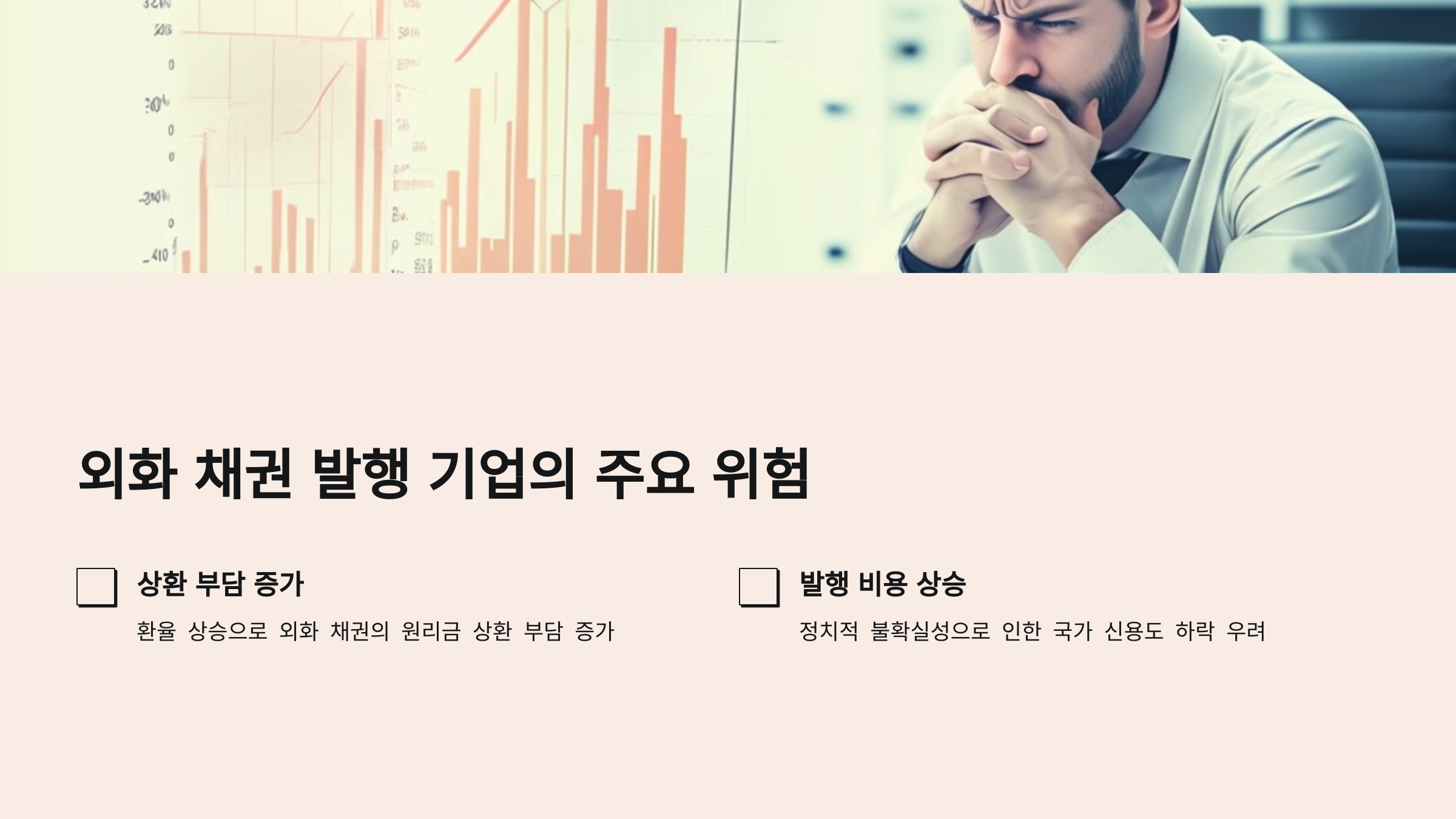 외화 채권 발행 기업의 주요 위험