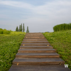 벌초 대행 서비스 사진12