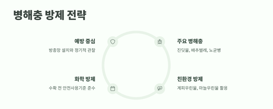 6월에 심는 밭작물 ❘ 늦은 여름까지 수확하는 비법 7