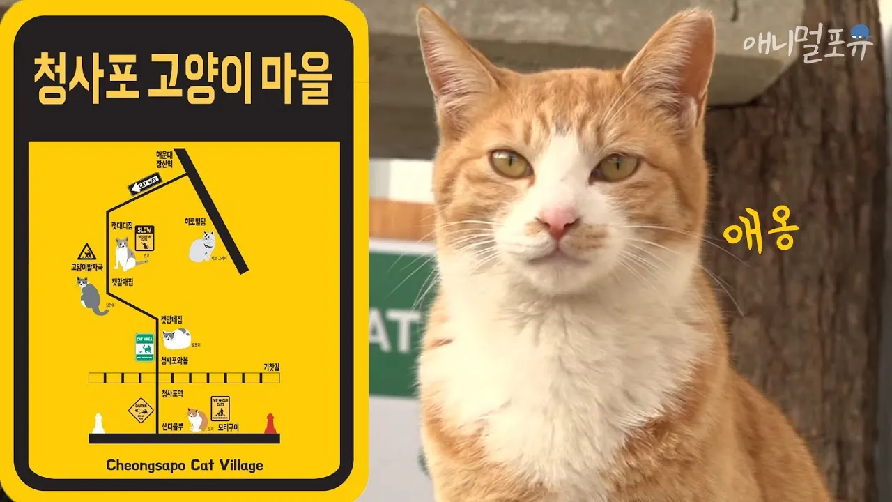 &amp;quot;국내