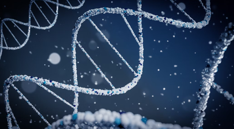 과학 발견: 이전에 알려지지 않았던 지식 확장