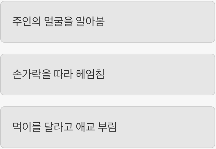교감 - 당신만을 알아보는 '수중의 강아지'
