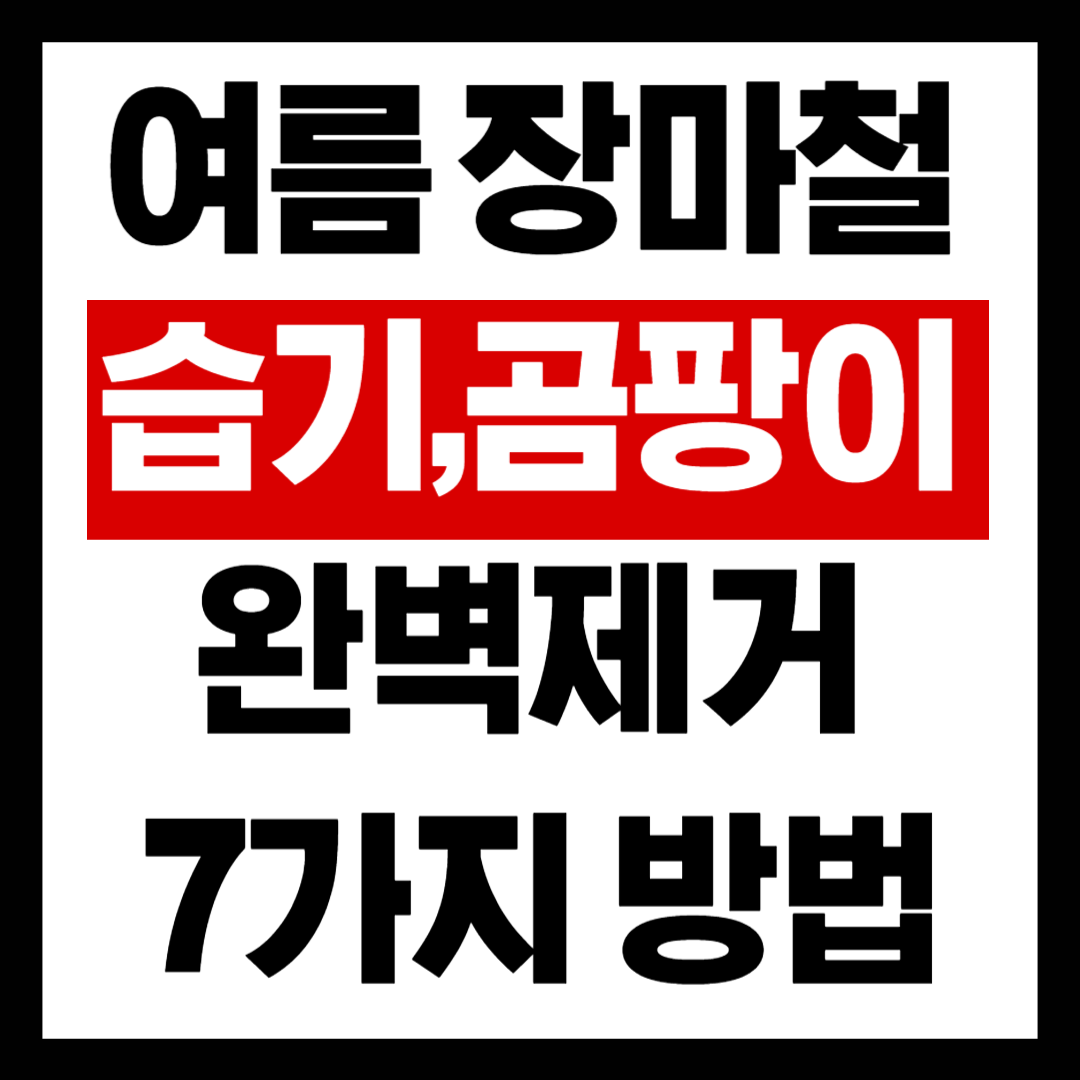 장마철 습기 곰팡이