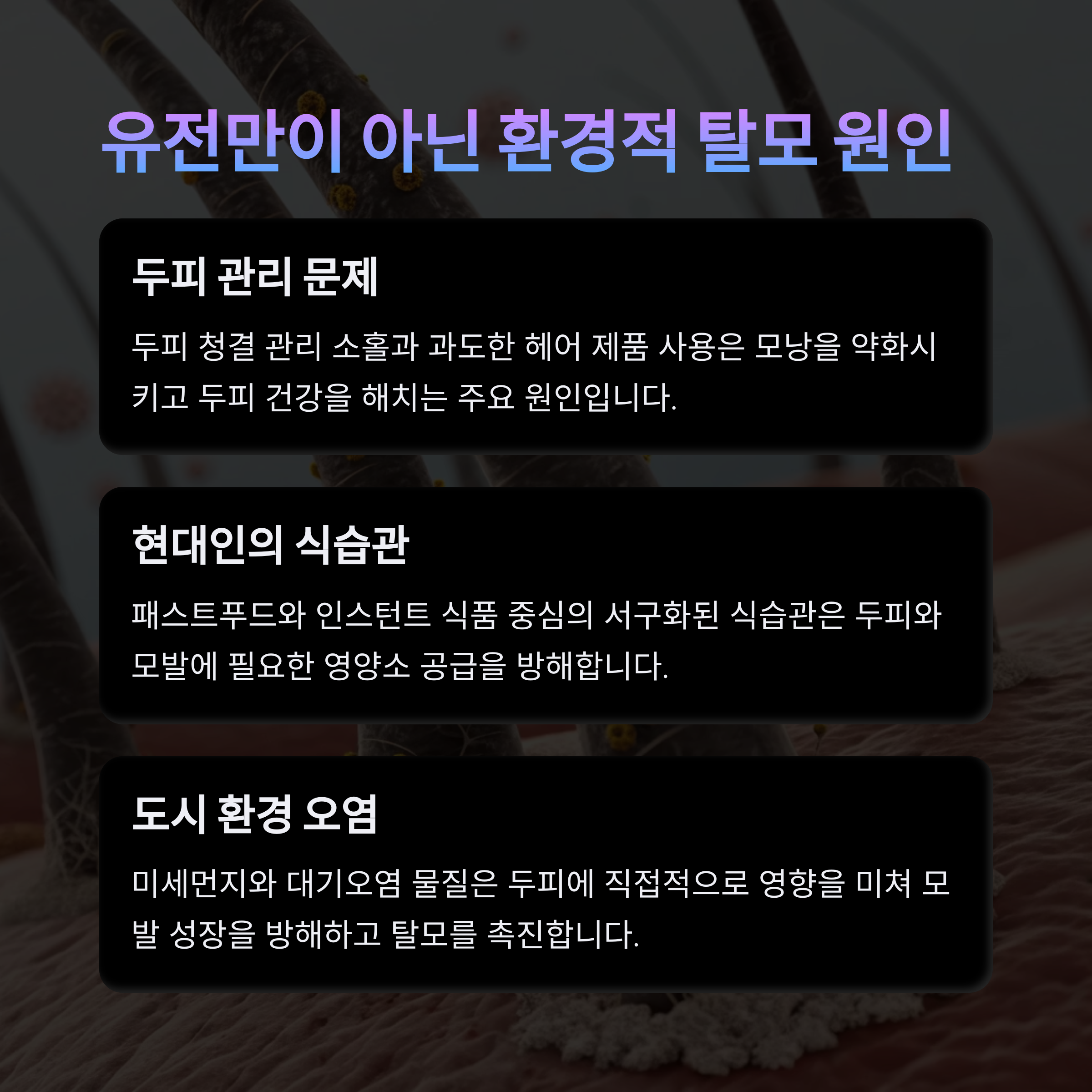 20대인데 탈모가? 탈모의 숨겨진 원인과 충격적 진실 - 젊은 층 탈모 급증 이유 - 2. 유전만이 아니다 - 환경적 요인이 탈모를 부른다 20대인데 탈모가? 탈모의 숨겨진 원인과 충격적 진실 - 젊은 층 탈모 급증 이유 - 2. 유전만이 아니다 - 환경적 요인이 탈모를 부른다