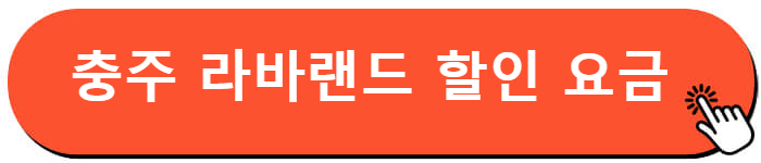 충주 라바랜드 할인