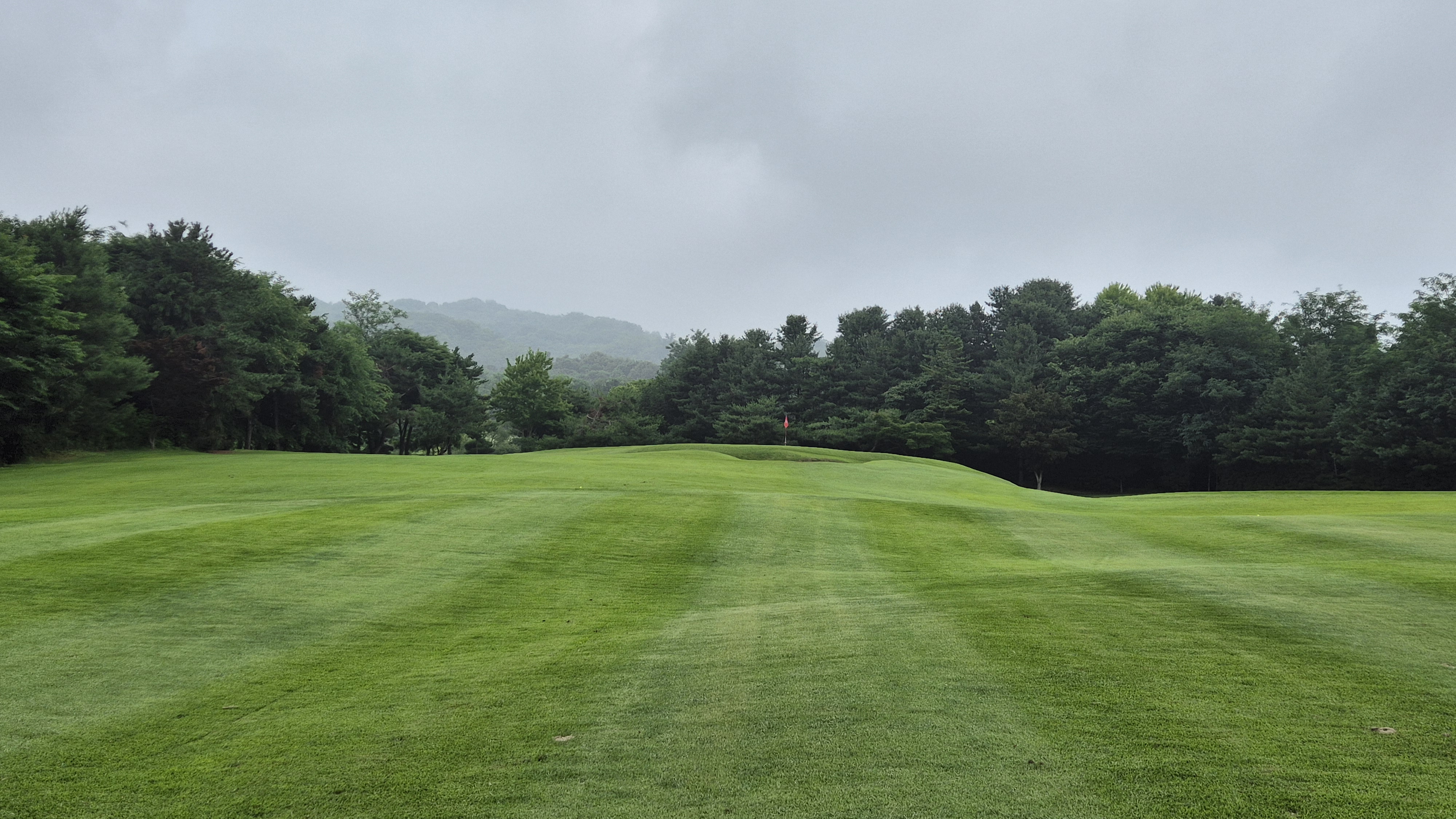 뉴스프링빌cc 공략 정보