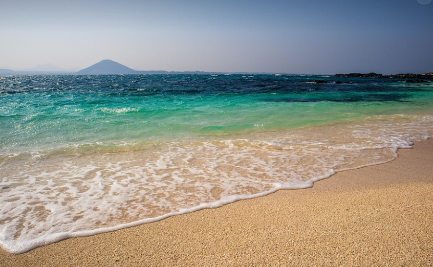 제주 바다 해산물