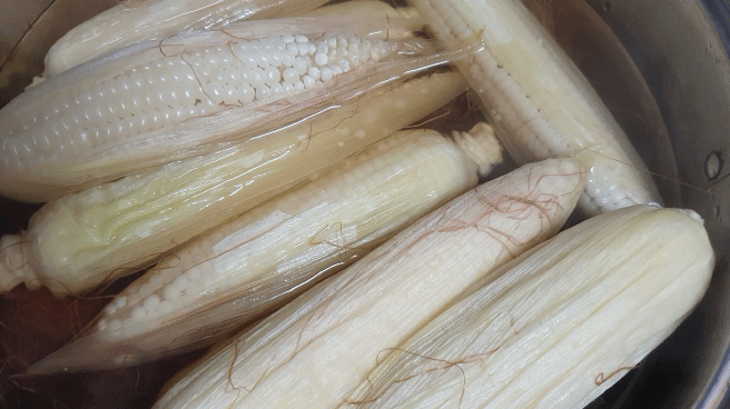 옥수수맛있게삶는법